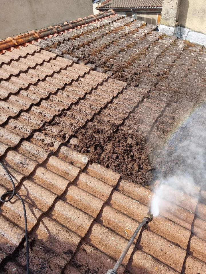 démoussage de toiture Thiers