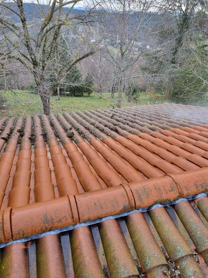 Entretien de toiture Thiers